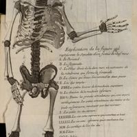 0324 - Page sans numérotation - Explication de la figure qui represente le squelette d'un foetus de neuf mois (en manuscrit)