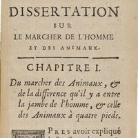 0327 - Page 301 - Dissertation sur le marcher de l'homme et des animaux. Chapitre I. Du marcher des animaux, & de la difference qu'il y a entre la jambe de l'homme, & celle des animaux à quatre pieds