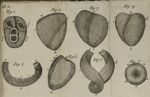 Tab. 2 [ : « de la situation & de la structure du coeur ».] Fig. 1 à Fig. 8 - Traité du coeur, du mo [...]