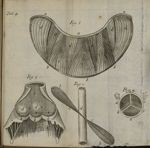 Tab. 4. Fig. 1 [ : le « muscle deltoeide »] / Fig. 2 [ : réunion par leur milieu des muscles du cou  [...]