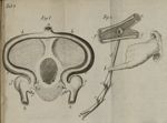 Tab. 6 Fig. 1 à Fig. 2 - Traité du coeur, du mouvement et dela couleur du sang...et nouvellement tra [...]