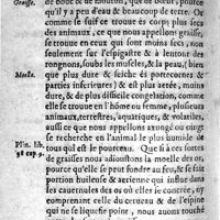 0520 - Page 392 - S'il faut manger beaucoup & souuent à chasque fois pour engraisser. Chap. II