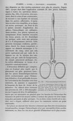 Fig. 135 : Pince hémostatique de Koeberlé - Nouveau dictionnaire de médecine de chirurgie pratiques, [...]