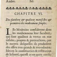 0079 - Page 19 - Chapitre VI. Des facultez & qualitez manifestes & premieres des medicamens simples