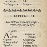 0091 - Page 31 - Chapitre XI. Des noms des medicamens simples, chauds au quatriesme degré