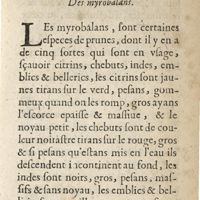 0195 - Page 135 - Article VI. Des myrobalans