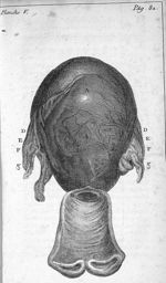 Forme extérieure de la matrice dans le neuvième mois de la grossesse - Principes sur l'art des accou [...]