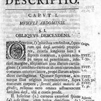 0039 - Page 25 - Musculorum descriptio. Caput I. Musculi abdominis