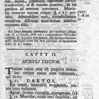 0045 - Page 31 - Caput II. Musculi testium