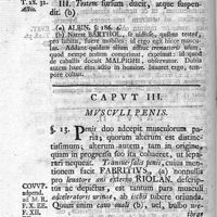 0046 - Page 32 - Caput III. Musculi penis