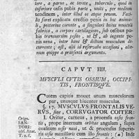 0048 - Page 34 - Caput IIII. Musculi cutis ossium, occipitis, frontisque