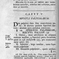 0050 - Page 36 - Caput V. Musculi palpebrarum