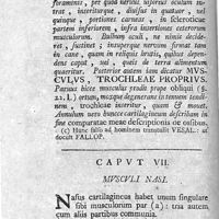 0054 - Page 40 - Caput VII. Musculi nasi