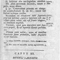 0055 - Page 41 - Caput IIX. Musculi labiorum