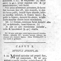 0061 - Page 47 - Caput X. Musculi auriculae