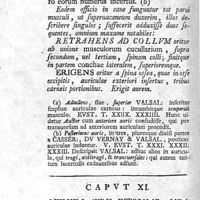 0062 - Page 48 - Caput XI. Musculi auris internae, meatusque auditorii