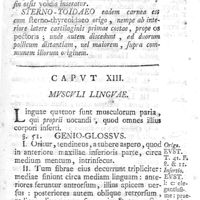0069 - Page 55 - Caput XIII. Musculi linguae