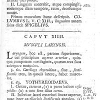0071 - Page 57 - Caput XIIII. Musculi laryngis