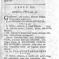 0077 - Page 63 - Caput XVI. Musculi uvulae