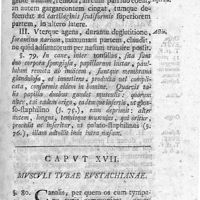 0079 - Page 65 - Caput XVII. Musculi tubae eustachianae