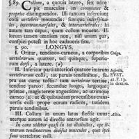 0085 - Page 71 - Caput XIX. Musculi colli, in antica eius parte collocati
