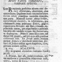 0091 - Page 77 - Caput XXI. Musculi thoracis, in antica huius parte conspicui, corpore supino