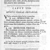 0097 - Page 83 - Caput XXII. Musculi vesicae urinariae