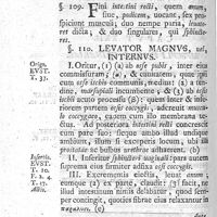 0098 - Page 84 - Caput XXIII. Musculi ani