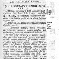0103 - Page 89 - Caput XXV. Musculi thoracis, adparentes, cadavere prono