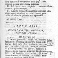 0107 - Page 93 - Caput XXVI. Musculi capitis, conspicui, cadavere prono