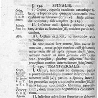 0112 - Page 98 - Caput XXVII. Musculi colli posteriores
