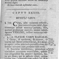 0133 - Page 119 - Caput XXXIII. Musculi carpi
