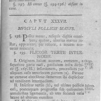 0147 - Page 133 - Caput XXXVII. Musculi pollicis manus