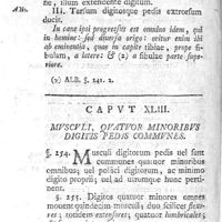 0176 - Page 162 - Caput XLIII. Musculi, quatuor minoribus digitis pedis communes