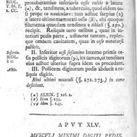 0186 - Page 172 - Caput XLV. Musculi minimi digiti pedis
