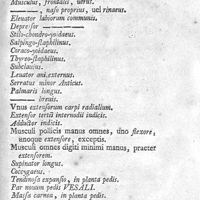 0193 - Page 179 - Catalogus musculorum corporis humani, in canino deficientium