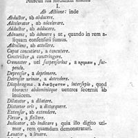 0195 - Page 181 - Tabula, explicans musculorum nomina