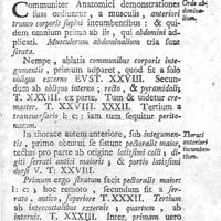 0219 - Page 205 - Ordo musculorum, ab interprete additus