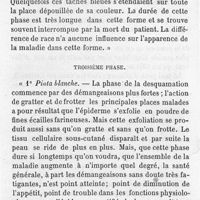 0310 - Page 300 - Troisième phase. 1° Pinta blanche. - 2° Pinta rouge. - 3° Pinta bleue. - Quatrième phase