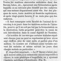 0695 - Page 685 - 2° Aguillule intestinale