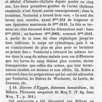 0712 - Page 702 - # 19. Distome d'Egypte, distomum hoematobium, de Bilharz, Thécosome sanguicole de Moq. T. (V. fig. dans Moq. T., p. 364.)