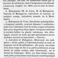 0724 - Page 714 - 2. Tarentule de la Pouille et de la Calabre, Lycosa tarentula 3. Malmignattes (M. de Corse, M. de Madagascar, Vancoho de Madagascar, Latrodecte de Curaçao ou araignée orange, Latrodecte assassin de la Martinique)