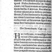 0032 - Page 32 - Cap X. De chamaeleonte