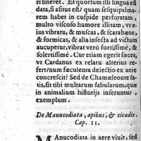 0034 - Page 34 - Cap XI. De manucodiata, apibus et cicadis
