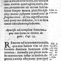 0041 - Page 41 - Cap XIII. Apocrisis ad exemplum brutorum quae tota hyeme in latebris degunt