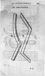 Autre eleuatoire - Annotations de M. Laur. Joubert, sur toute la chirurgie de M. Gui de Chauliac. Av [...]