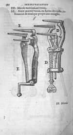 Miroir matrical, ou uterin / Autre miroir en forme de vielle, instrument de musique propre aux aueug [...]