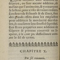 0224 - Page 196 - Fleurs de bismuth / Chapitre X. Du sel commun
