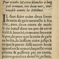 0325 - Page 309 - Chapitre XVI. Pour teindre martres blanches à long poil commun, tres beau noir, irrevocable comme les zibelines