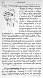 Fig. 443 - Traité de médecine opératoire, bandages et appareils. 4è éd. Tome premier